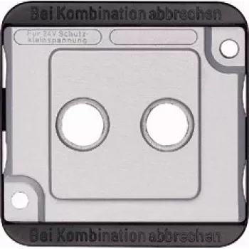 Merten 294660 cornice/placca argento (294660)