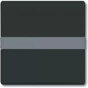BUSCH JAEGER 2106 N-35 - nero - Busch-Jaeger - 70 mm - 70 mm - 1,3 cm - 1 pz.