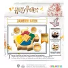 Harry Potter - Wizard Guessing Game, gioco quiz