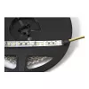 Synergy 21 Striscia LED Flex 3528 - 120 DW (CCT) DC12V 48W per colore IP20
