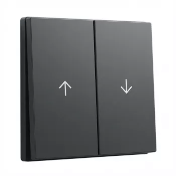 Copertura bilanciere GIRA System 55 bilanciere 2 posti freccia antracite (modello 329428)