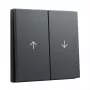 Copertura bilanciere GIRA System 55 bilanciere 2 posti freccia antracite (modello 329428)