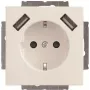 Busch-Jaeger presa SCHUKO-2x USB 20 EUCB2USB-84 (2CKA002011A6273)