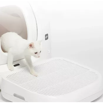 Scala per lettiera per gatti PetKit