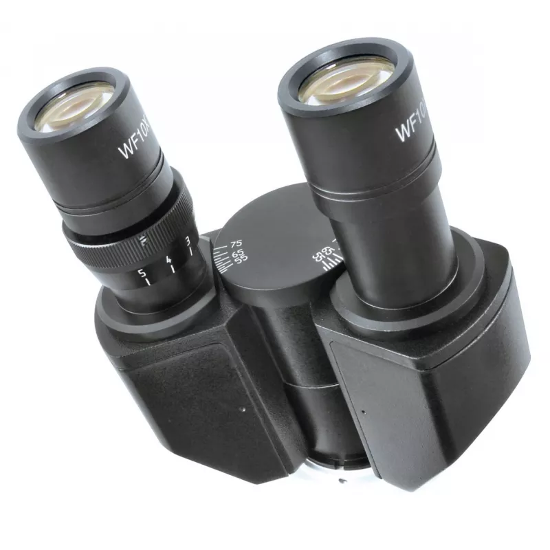 Bresser Optics Researcher Bino microscopio digitale 1000x