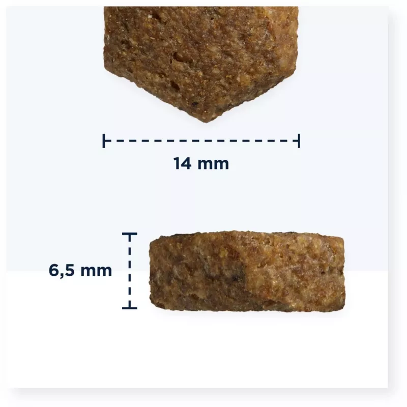 Crocchette per cani EUKANUBA Breed Specific Cocker Spaniel 7,5 kg — pollo, cani adulti, pelle e pelo, supporto cardiaco