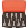 Set di punte per cacciavite Bahco da 9 pezzi S9TORX (S9TORX)