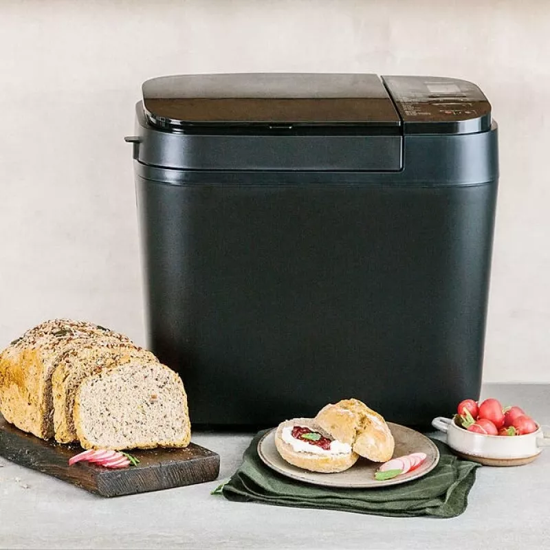 Panasonic | Macchina per il pane | SD-R2530 | Potenza 550 W | Numero programmi 30 | Display Sì | Nero