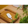 Controller per Smart Alarm Hub