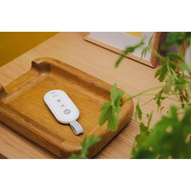 Controller per Smart Alarm Hub