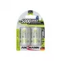 Batteria Ansmann blister 2 x accu NiMH Mono/D 5000 mAh