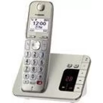 Telefono DECT Panasonic KX-TGE260GN