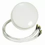 Antenna ALLNET 2,4/5 GHz 4 dBi DualBand Spatial Diversity MIMO da soffitto HG2458-4SDC-RSP