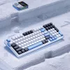 VGN V98 Pro tastiera Gaming, Arctic Fox - Edizione limitata (US)