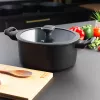 Pentola Russell Hobbs RH01864EU7 24 cm Crystaltech