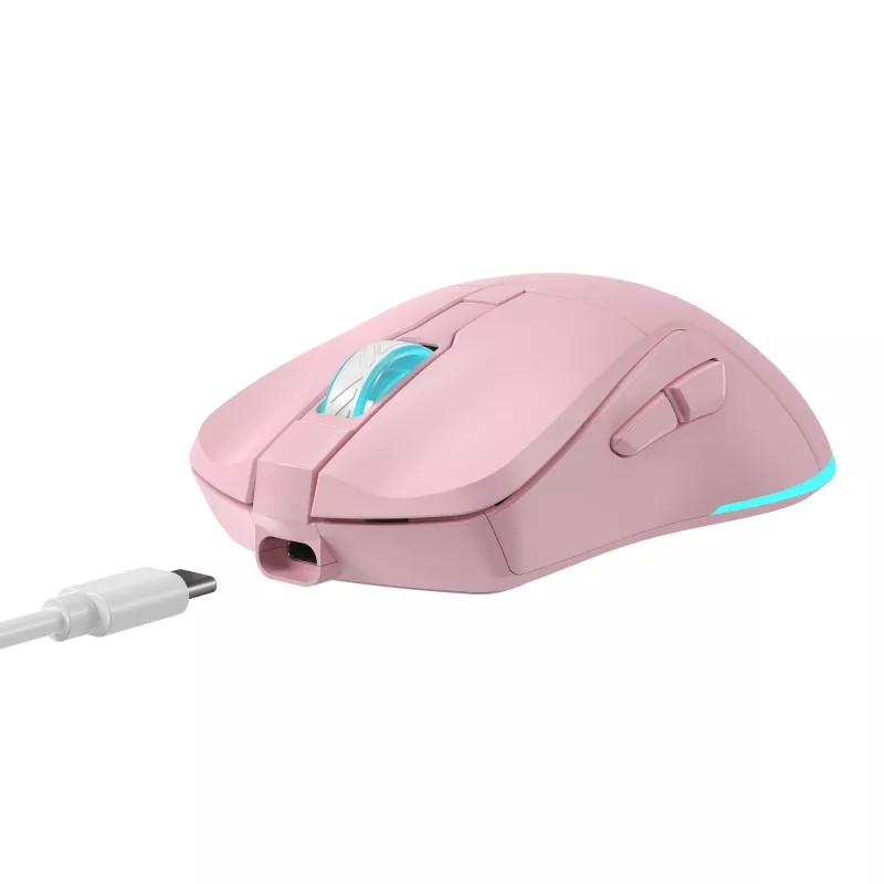 Mouse Baracuda BGM-124 Turtle rosa TURTLE-P