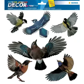 Adesivo decorativo HERMA 15539 pellicola multicolore rimovibile uccello