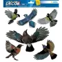 Adesivo decorativo HERMA 15539 pellicola multicolore rimovibile uccello
