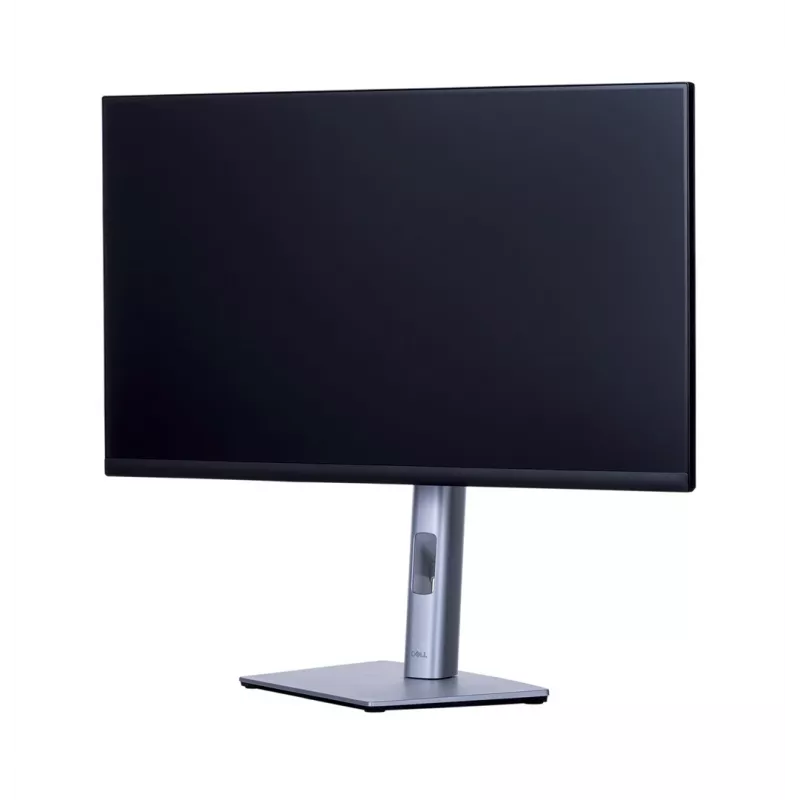 MONITOR DELL LED 24 P2422H (GRADE A) usato