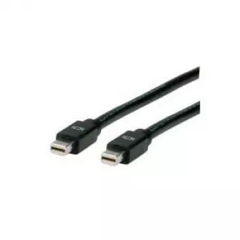 ROLINE cavo DisplayPort, Mini DP ST – Mini DP ST 2,0 m (11.04.5640)