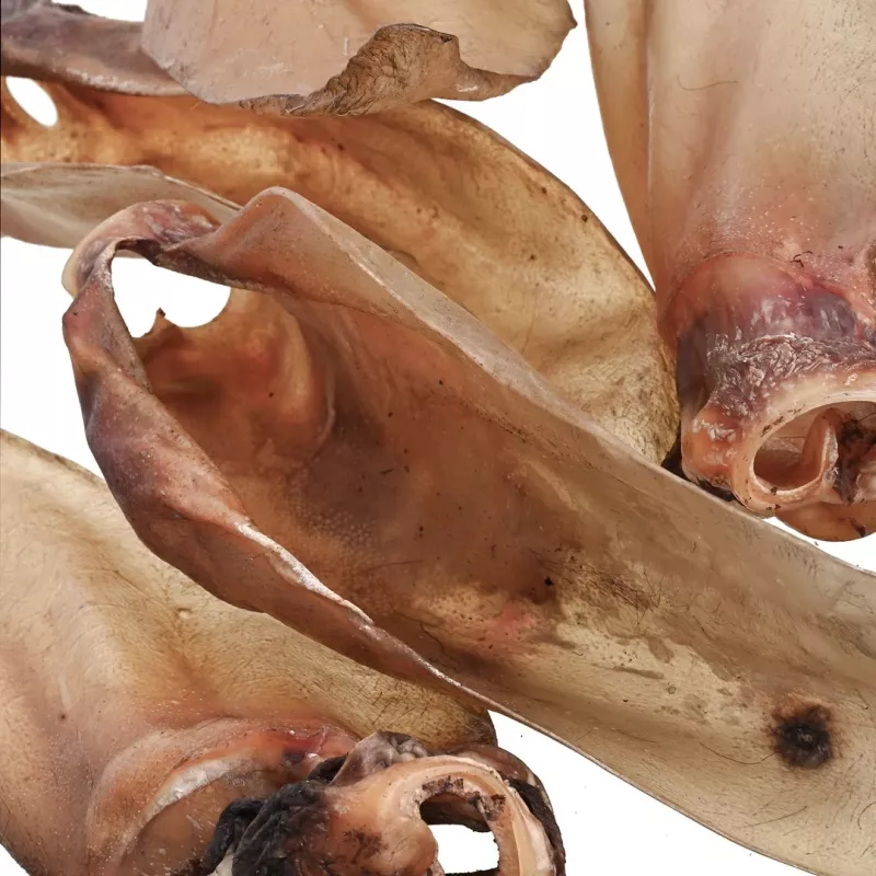 Snack per cani PETITTO orecchio di manzo con cartilagine — confezione da 10, snack da masticare monoingrediente