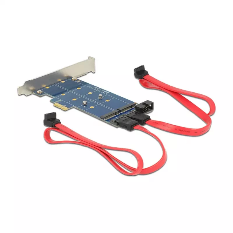 DeLOCK 89374 scheda PCI Express x1 a 2x M.2 NGFF interni