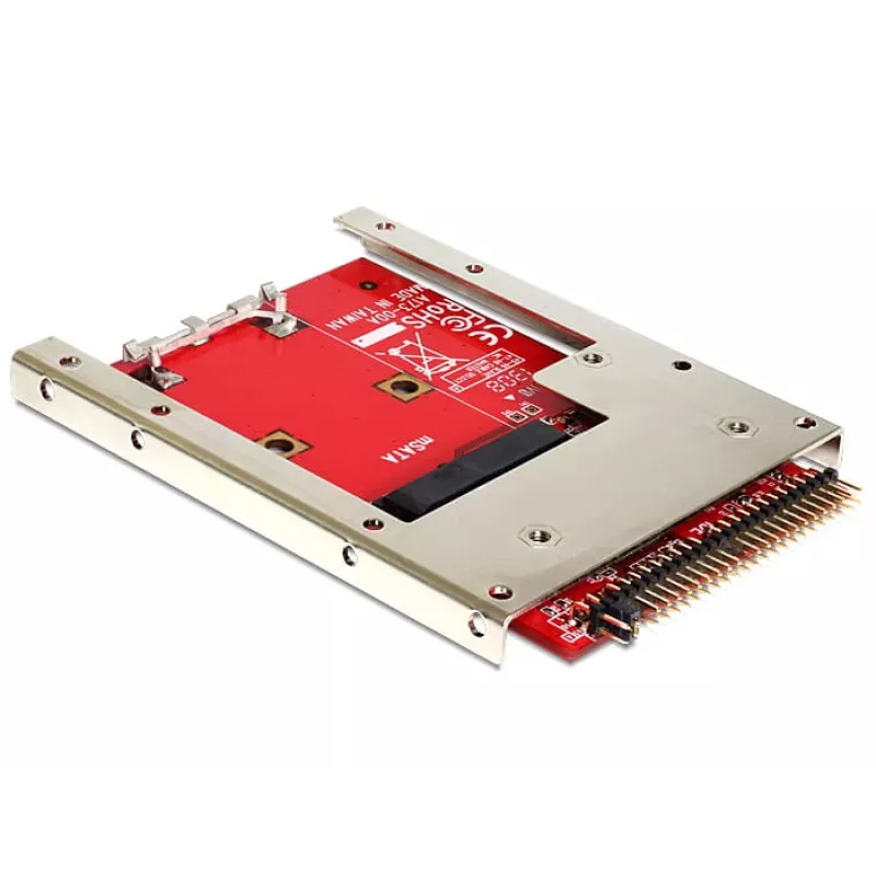 Adattatore mSATA interno DeLOCK 62495