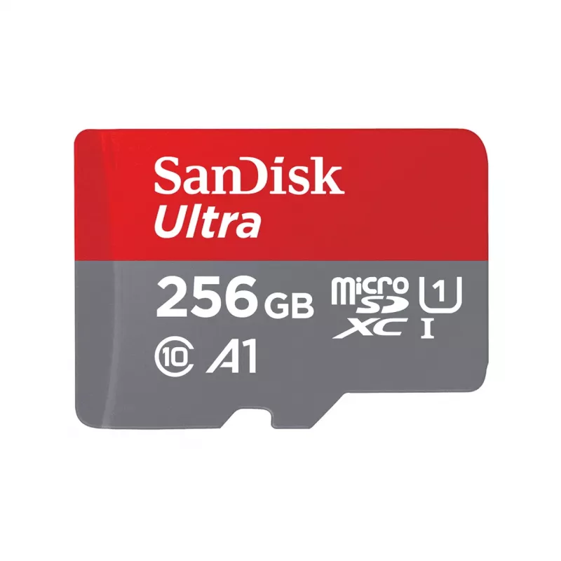 Memoria flash SanDisk 256 GB MicroSDXC UHS-I SDSQUNR-256G-GN6TA