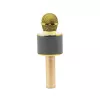 Microfono MANTA MIC10-G oro cardioide portatile — condensatore cardioide, design a mano
