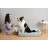 Cuccia per animali PETKIT Four - M per gatti e cani di piccola taglia, interni, 1 pz.