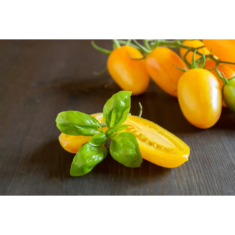 Semi di pomodoro ciliegino Perun Toraf, confezione da 0,5 g