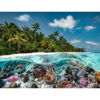 Puzzle Ein Dive in the Maldives (2000 pezzi)