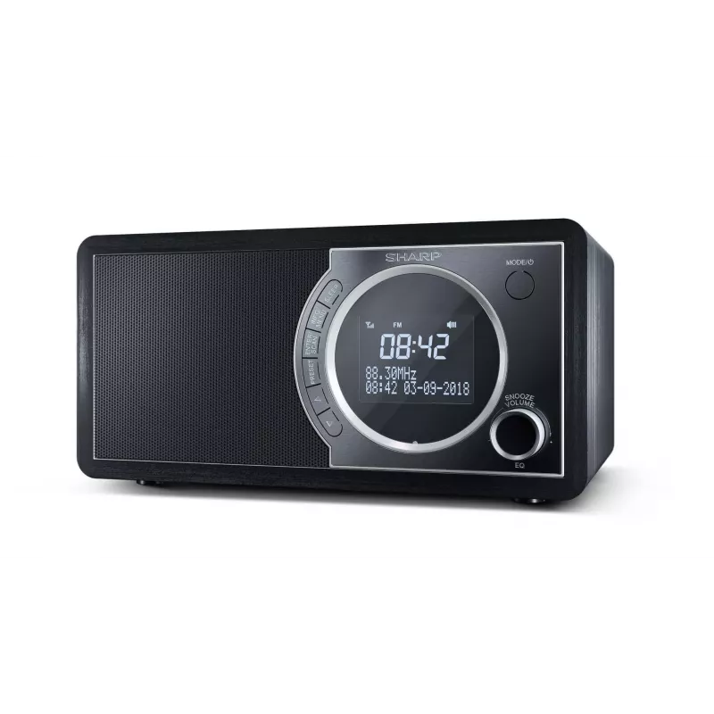 Radio digitale Sharp DR-450 – nero, personale, digitale, DAB, DAB+, FM, 87,5 – 108 MHz, 174,928 – 239,2 MHz, 3 W