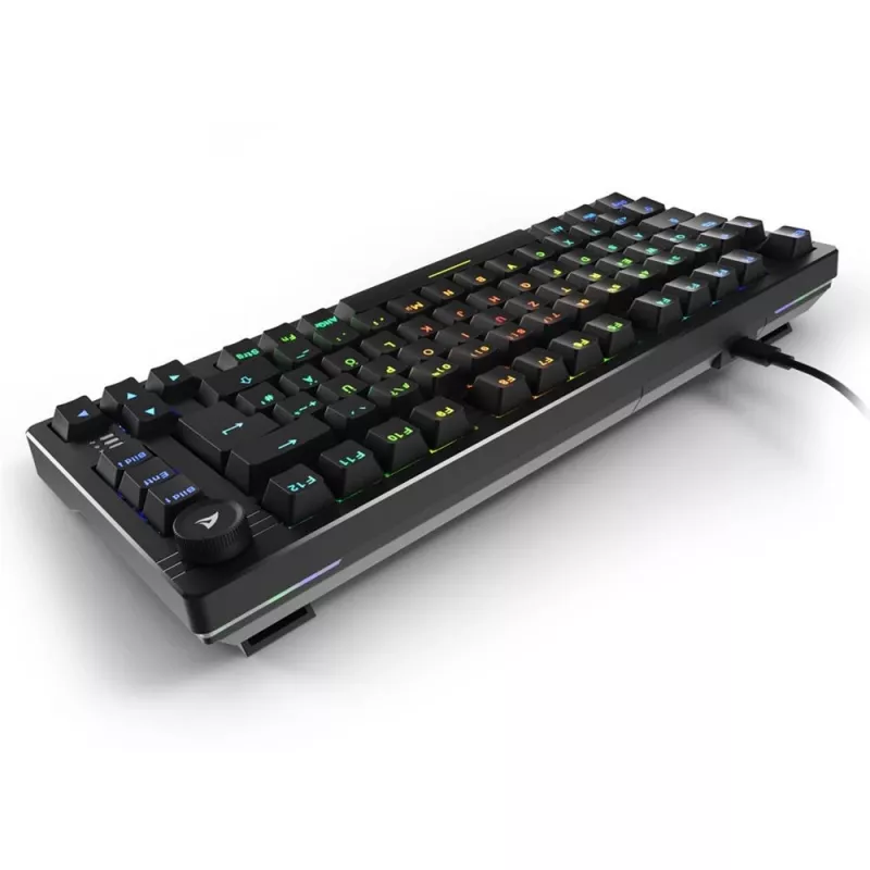 Sharkoon SGK25 Tastiera Home USB QWERTZ Tedesco Nero 75% RGB LED