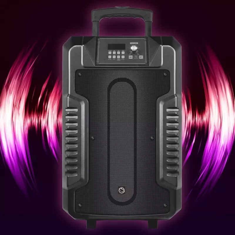 Altoparlante Manta SPK1203B100 100 W