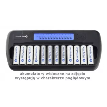 Caricabatterie everActive NC-1200 – caricabatterie universale a 12 vani per AA/AAA, ingresso 12 V, nero