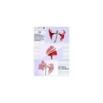 Pellicole per laminazione Olympia 1x100 DIN A5 125 micron