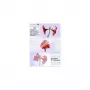 Pellicole per laminazione Olympia 1x100 DIN A5 125 micron