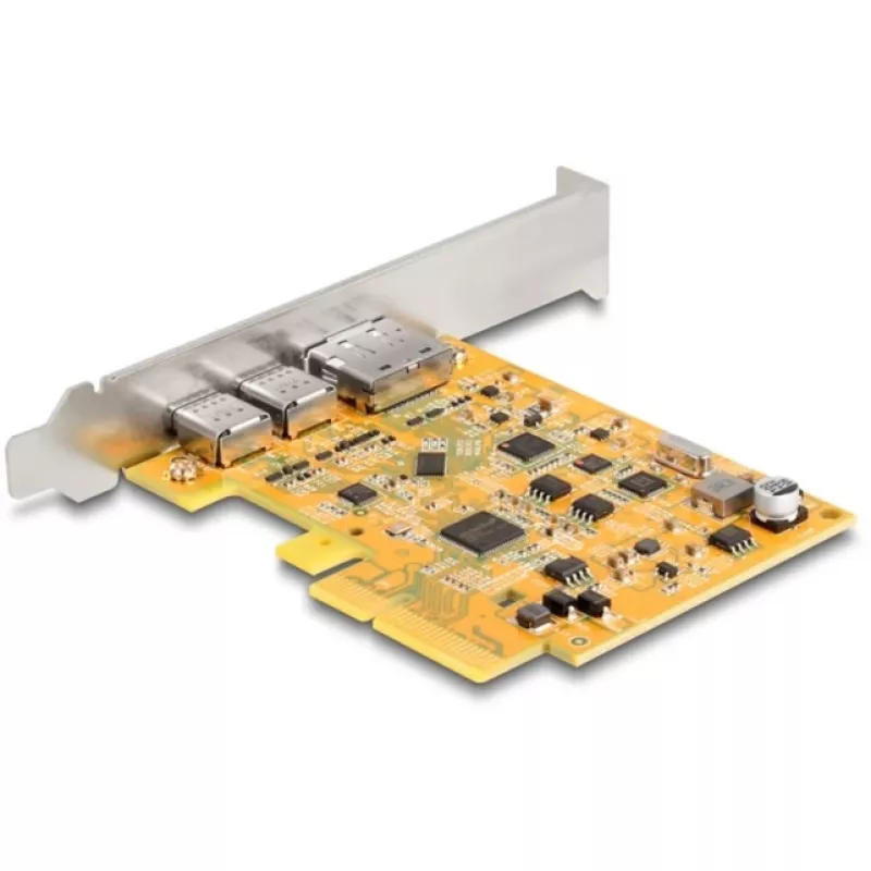 Scheda PCI Express x4 DeLOCK 90161