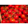 Semi di pomodoro ciliegino Bajaja Toraf, confezione da 0,3 g