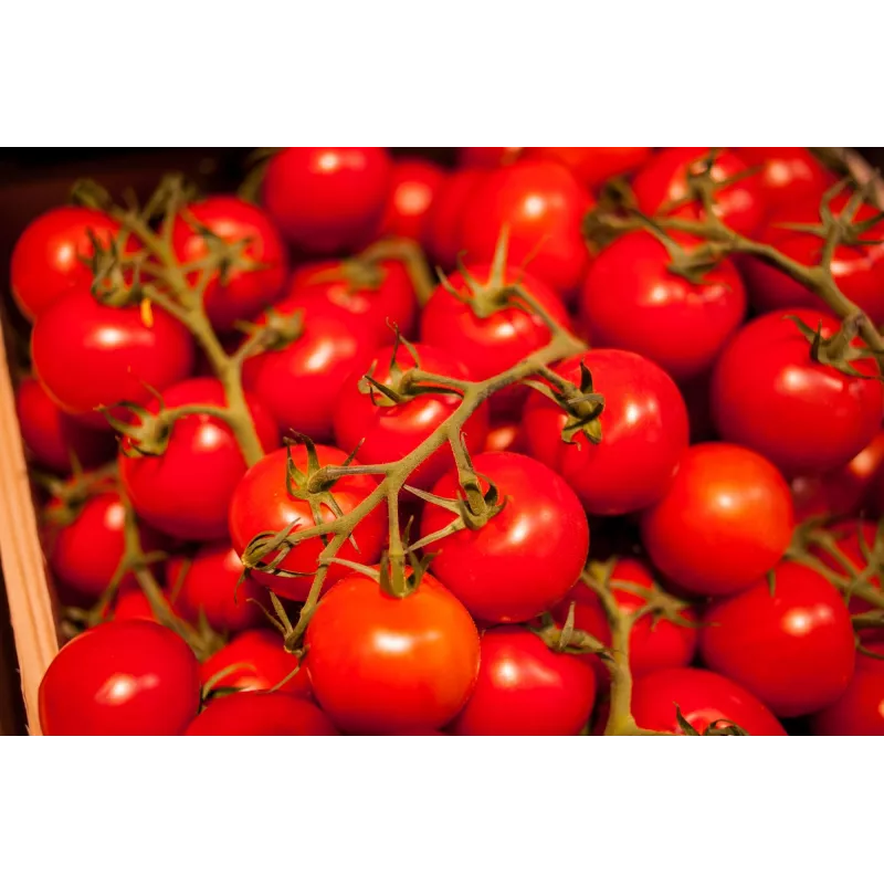 Semi di pomodoro ciliegino Bajaja Toraf, confezione da 0,3 g
