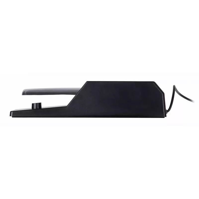 M-AUDIO SP-2 pedale sustain 6,35 mm