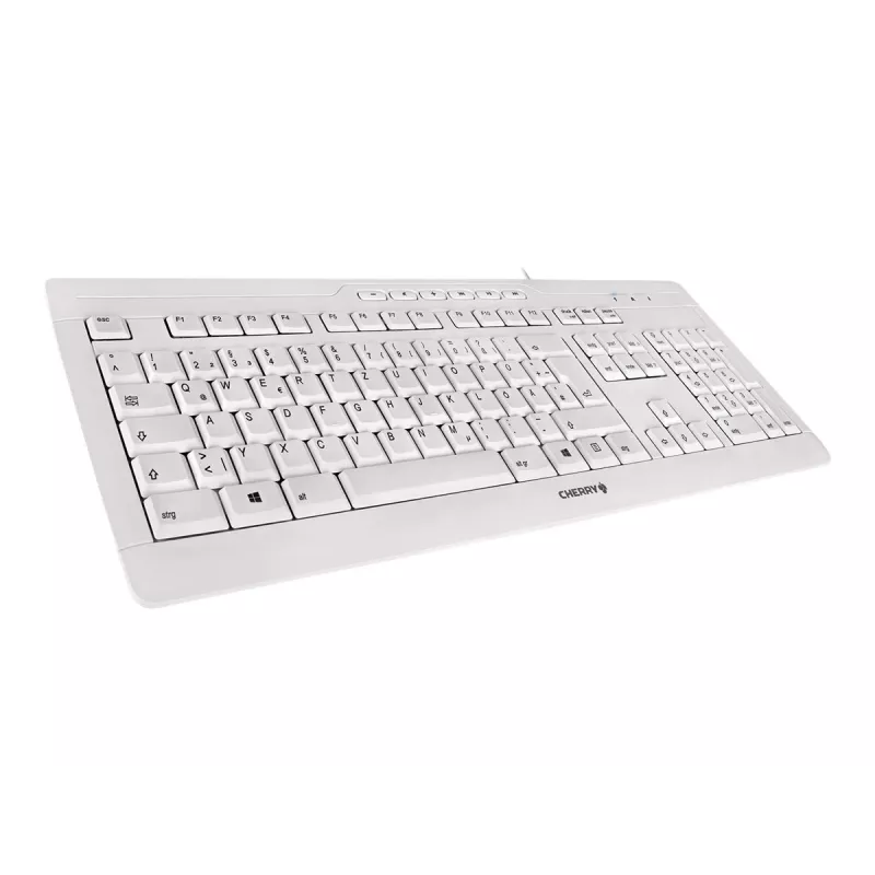 CHERRY STREAM 3.0 Tastiera ufficio USB Swiss Grey