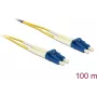 Delock cavo in fibra ottica LC Duplex su LC Duplex Singlemode OS2 100 m (80161)