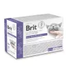 BRIT Veterinary Gastrointestinal Lamb - cibo umido per gatti - 12x85g