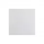Berker 1620 89 89 Tasto a bilanciere PWS lucido
