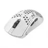 Mouse da gaming Endgame Gear TENKO AKITSU MEDIUM — 40 g, sensore PixArt 3950, polling 8K, bianco