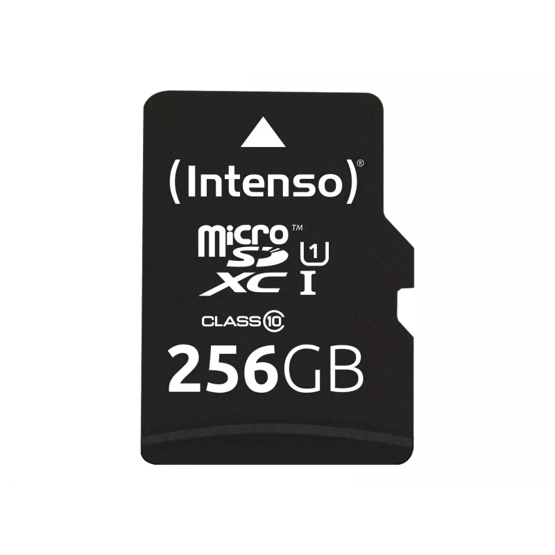 Memoria flash Intenso 256GB UHS-I Scheda MicroSD