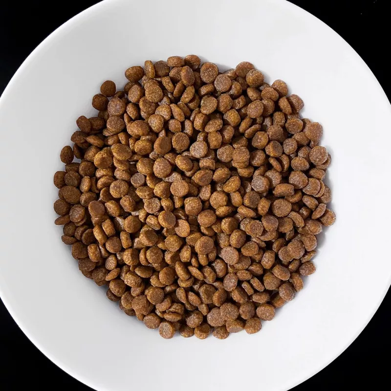 VET RESPONSE Gastrointestinal - crocchette per gatti - 400 g
