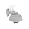 Accessorio per telecamera di rete dissuasore per uccelli/SPIKES 10 pezzi 5801-121 Axis